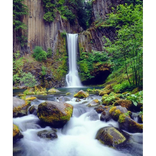 Oregon, Toketee Waterfall and Basalt Formation